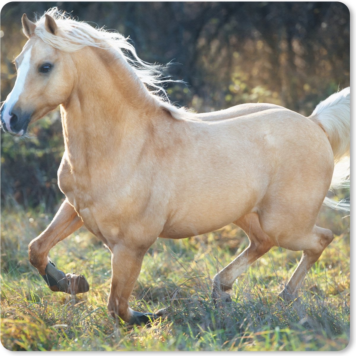 Muismat XXL 40x40 cm - Bureau onderlegger - Bureau mat Paard - Natuur - Bruin - Bureaumat - Gaming mousepad xl - Bureaulegger groot - Computer deskmat