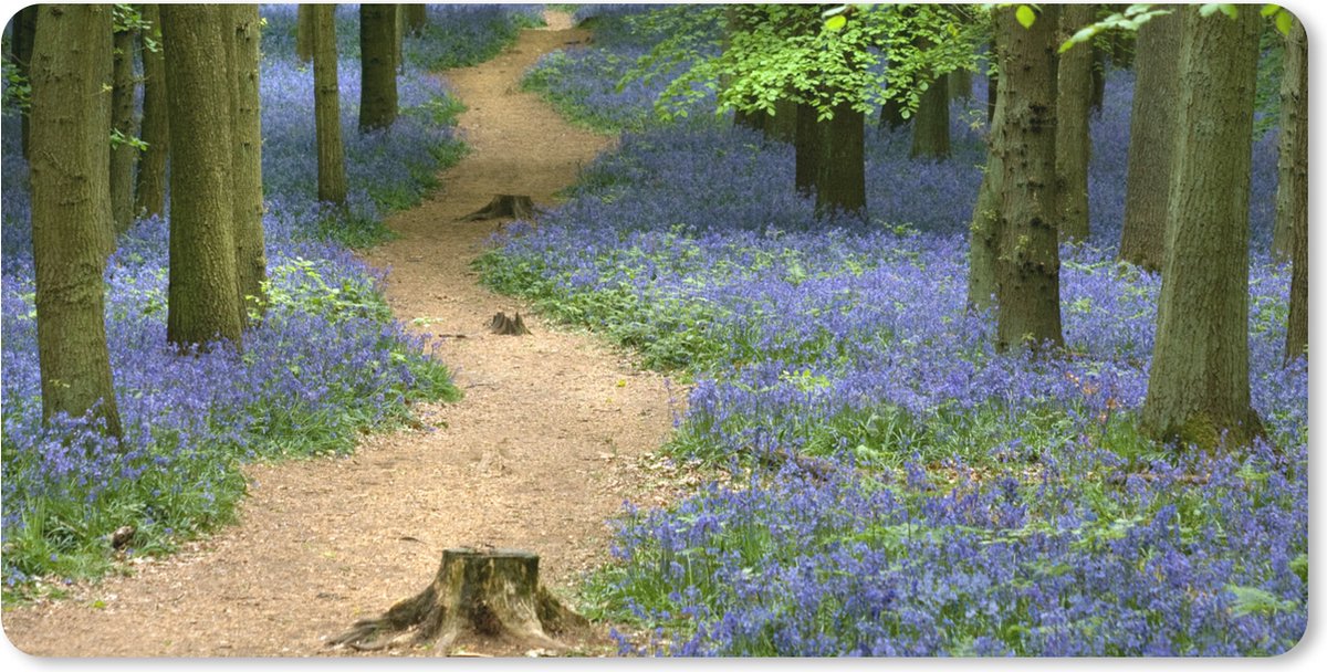 Muismat XXL 100x50 cm - Bureau onderlegger - Bureau mat Bos - Pad - Bloemen - Blauw - Bureaumat - Gaming mousepad xl - Bureaulegger groot - Computer deskmat