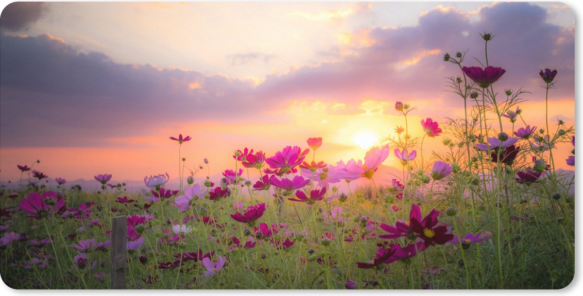 Muismat XXL 100x50 cm - Bureau onderlegger - Bureau mat Bloemen - Roze - Zonsondergang - Natuur - Weide - Horizon - Bureaumat - Gaming mousepad xl - Bureaulegger groot - Computer deskmat