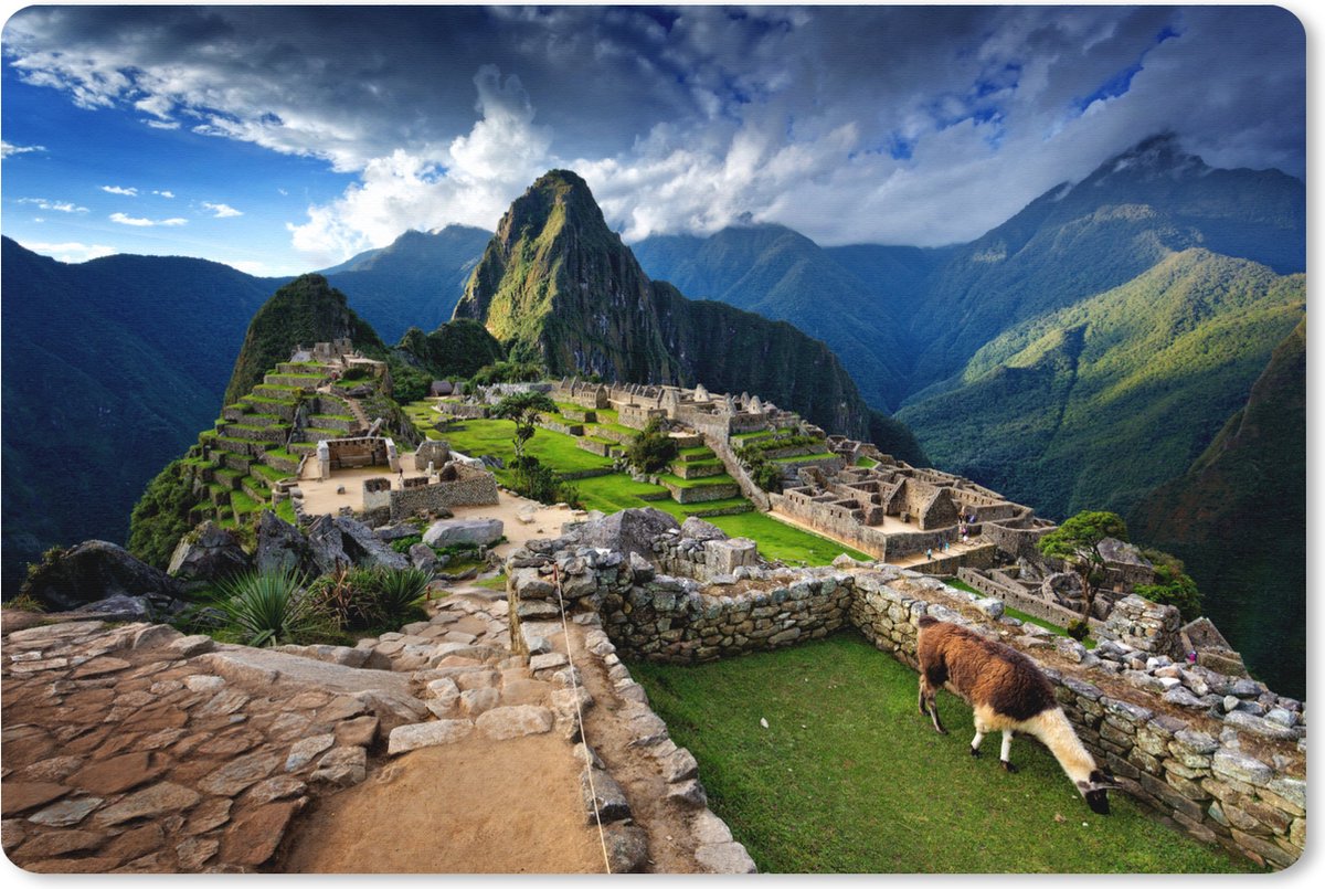 Muismat XXL 120x80 cm - Bureau onderlegger - Bureau mat Lama - Machu Picchu - Gras - Bureaumat - Gaming mousepad xl - Bureaulegger groot - Computer deskmat