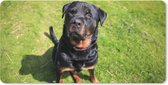 Muismat XXL - Bureau onderlegger - Bureau mat - Rottweiler kijkt naar zijn baasje - 90x45 cm - XXL muismat
