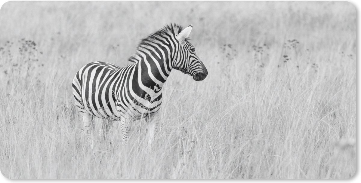 Muismat XXL 120x60 cm - Bureau onderlegger - Bureau mat Zebra in het grasland - Bureaumat - Gaming mousepad xl - Bureaulegger groot - Computer deskmat