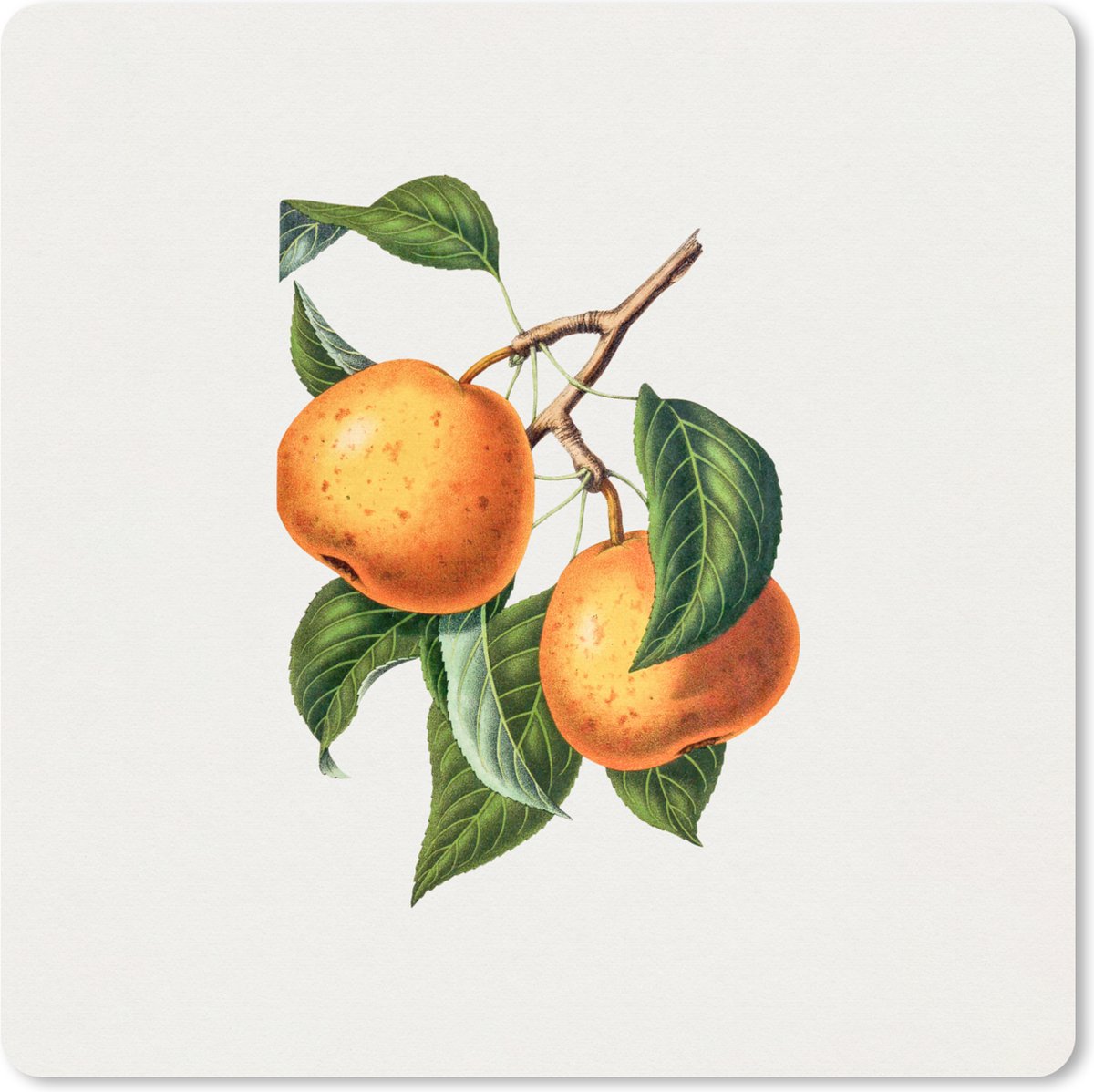 Muismat XXL 40x40 cm - Bureau onderlegger - Bureau mat Eten - Fruit - Vintage - Bureaumat - Gaming mousepad xl - Bureaulegger groot - Computer deskmat