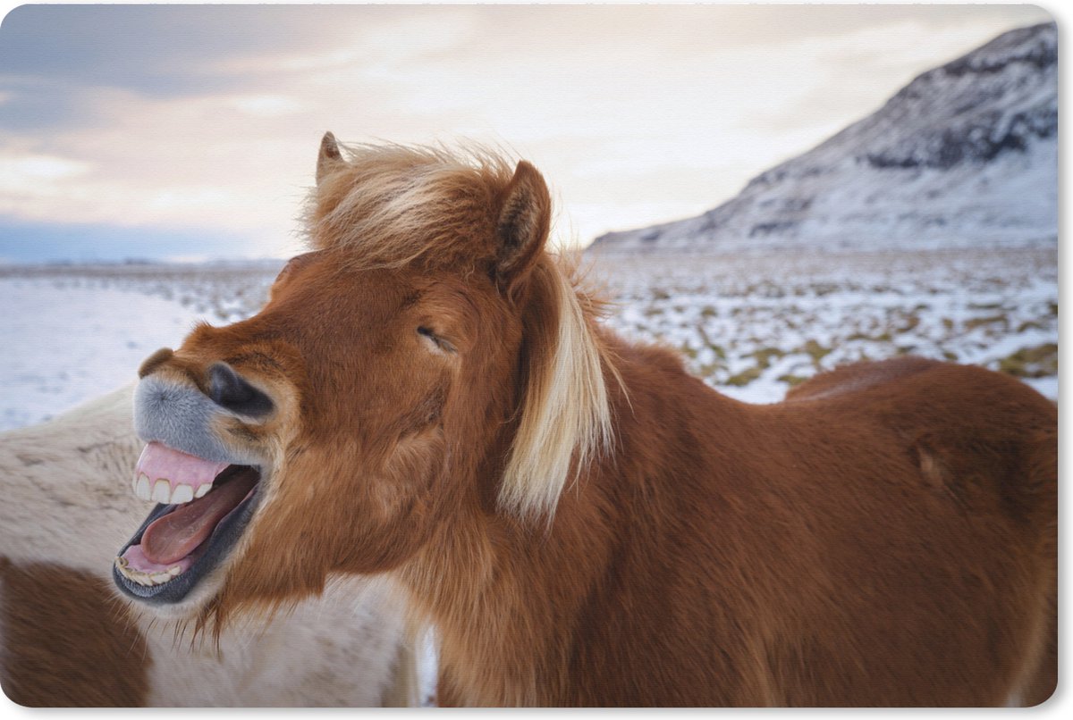 Muismat XXL - Bureau onderlegger - Bureau mat - Lachend IJslander paard bij zonsondergang - 90x60 cm - XXL muismat