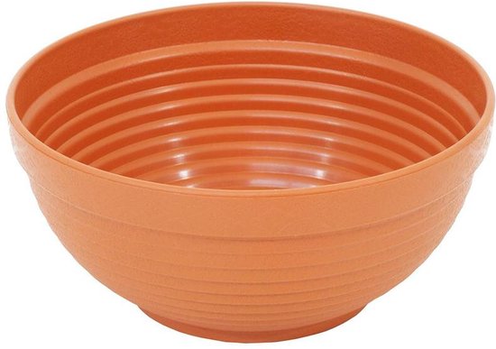 Fiori in un vaso di terracotta, 1744 (pannello