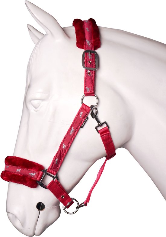 Rood halster met zilveren paardjesprint en donkerrode pluche voering.