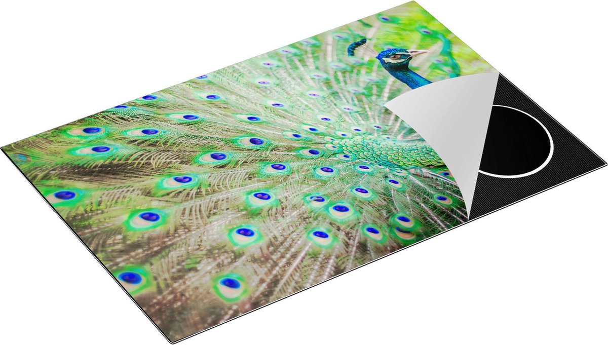 Chefcare Inductie Beschermer Pauw met Kleurrijke Veren - 83x51,5 cm - Afdekplaat Inductie - Kookplaat Beschermer - Inductie Mat