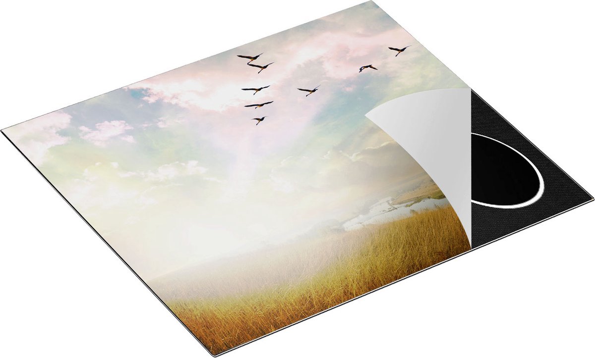 Chefcare Inductie Beschermer Groep Vogels Vliegen Boven het Gras - 58,3x51,3 cm - Afdekplaat Inductie - Kookplaat Beschermer - Inductie Mat