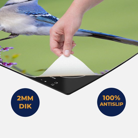 Chefcare Inductie Beschermer Blauwe Gaai Vogel op een Tak - Kleur - 95x55 cm - Afdekplaat Inductie - Kookplaat Beschermer - Inductie Mat