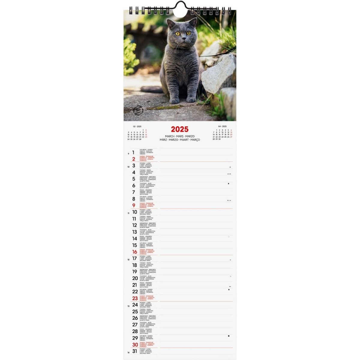 Equivera Jaarkalender 2025 - Maandkalender - Jaar Kalender - Jaarkalender - Jaarplanner - Kalender 2025