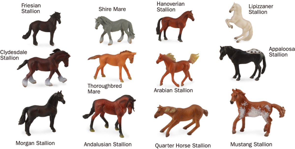 COLLECTA Figurine Mini Set - 12 Paarden - Paarden - Handgeschilderd - Miniatuur — cadeau in Spellen & Speelgoed - foto 4
