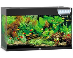 Juwel Rio 125 LED Aquarium - Zwart - 125L - 80 x 35 x 50 cm