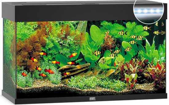 Juwel Rio 125 LED Aquarium - Zwart - 125L - 81 x 36 x 50 cm