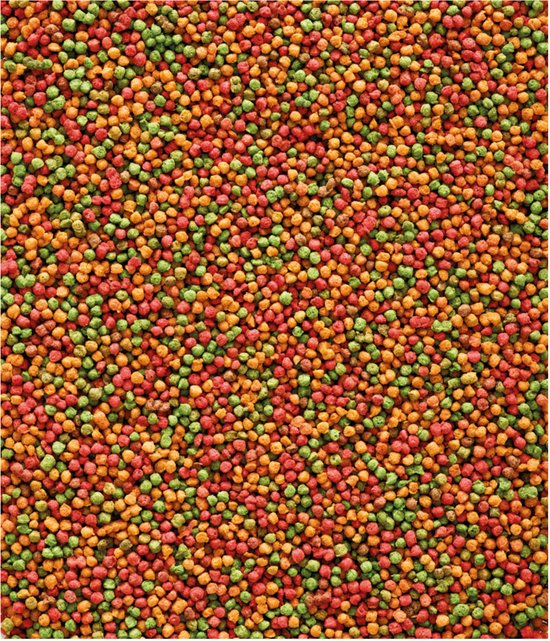 Een close-up van NutriBird B14 pellets in de kleuren groen, rood en oranje.