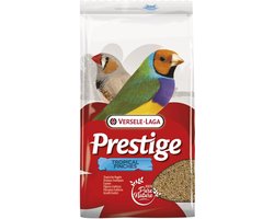 Prestige Tropische Vogel