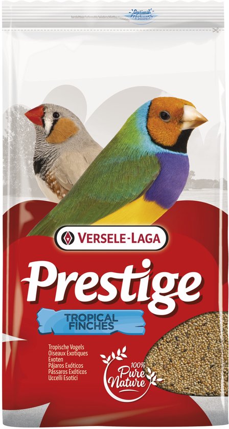 Prestige Tropische Vogel
