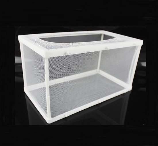 961834_5 961834_5