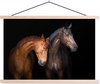 Paard - Duo - Bruin