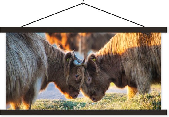 Porte-affiche avec affiche - Affiche scolaire - Highlanders écossais - Animaux - Soleil - 90x45 cm - Lattes noires