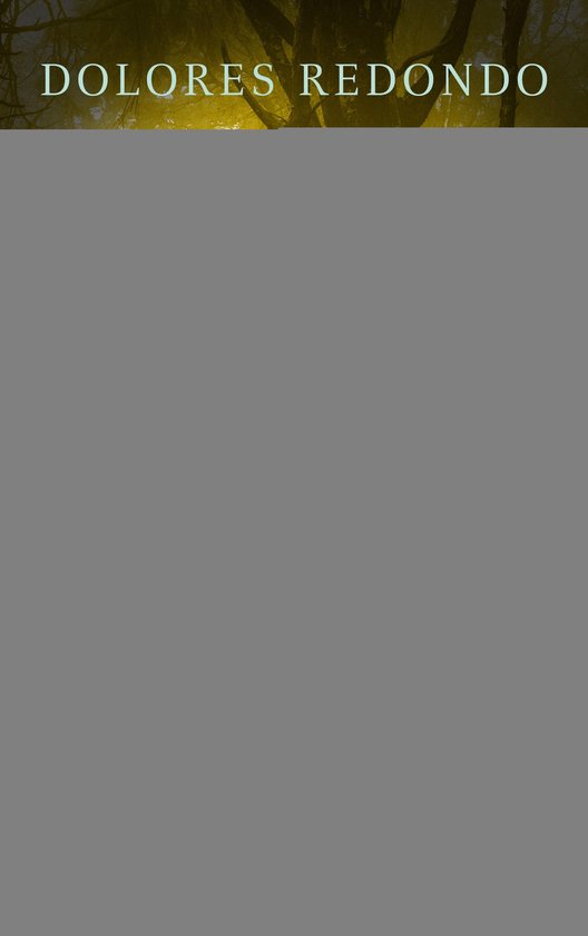 Die Baztán-Trilogie 2 - Die vergessenen Kinder - cover