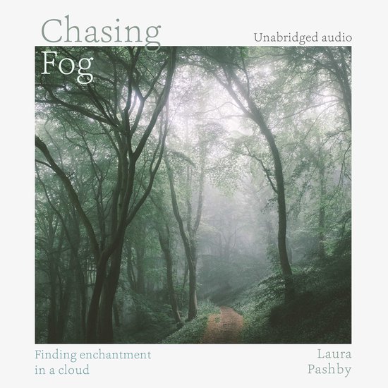 Chasing Fog - cover