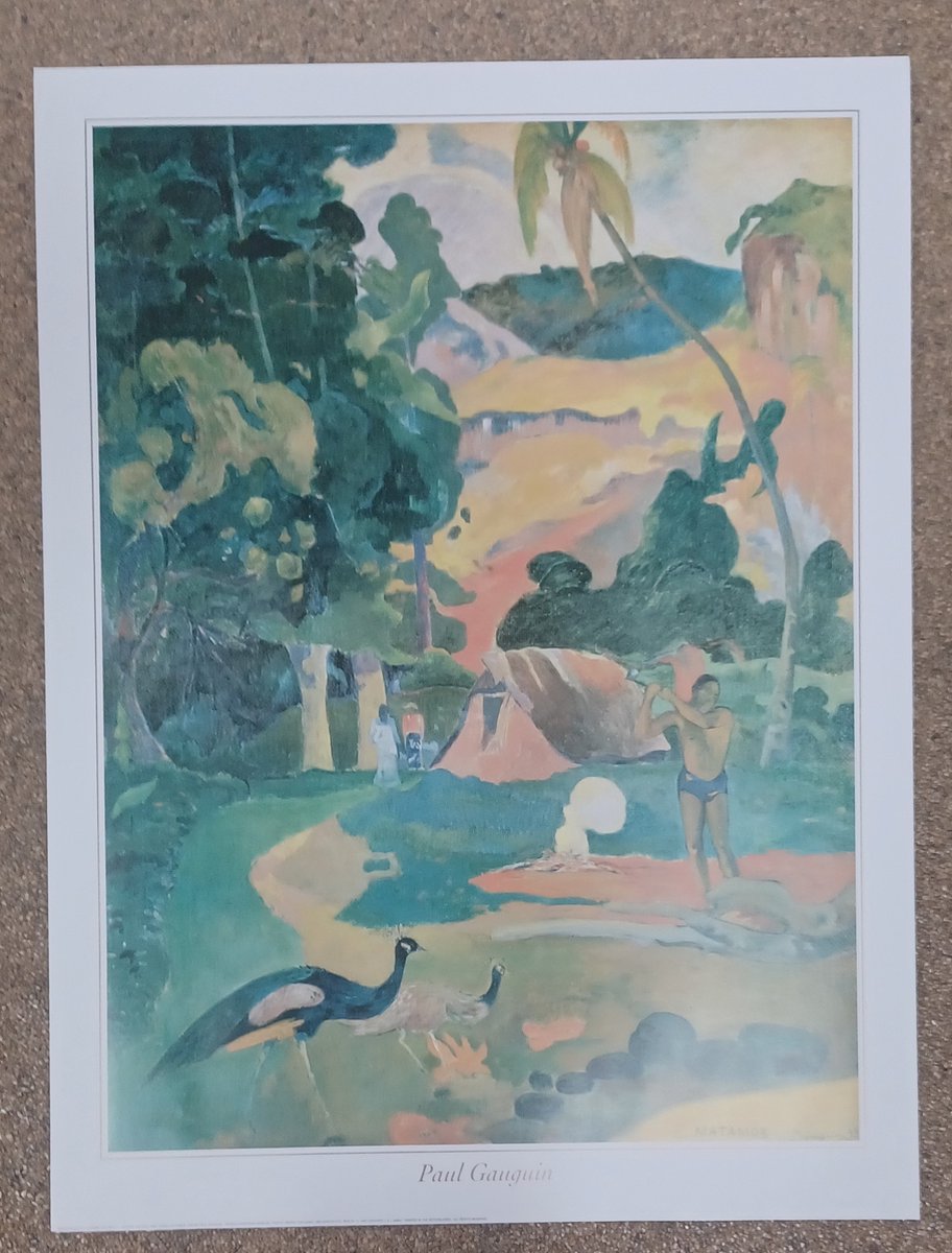 poster Verkerke Paul Gaugin - Matamoe 60 x 80 cm