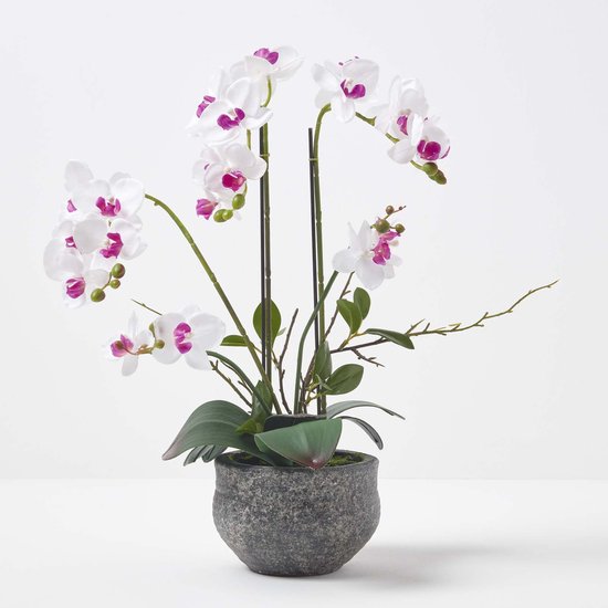 Homescapes Orchidée artificielle blanche en pot en ciment gris 52 cm
