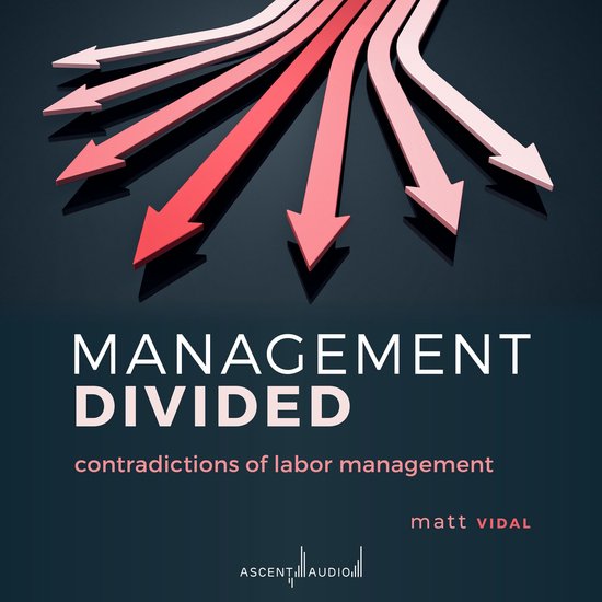 Management Divided - cover