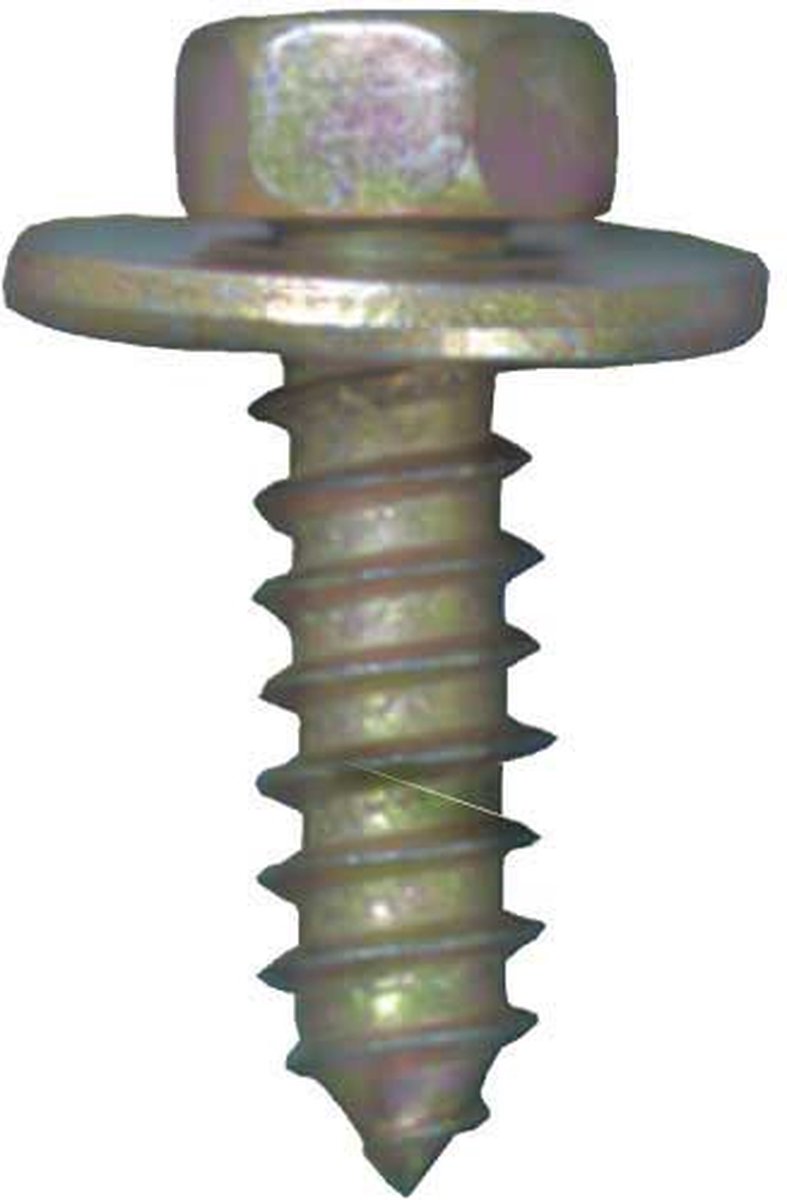 Zeskantplaatbout 6.3x16mm