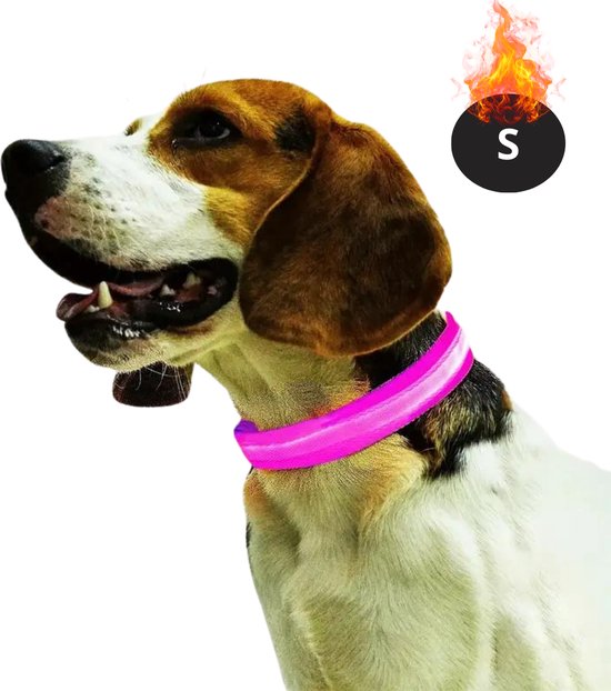 LED HALSBAND VOOR HONDEN - OPLAADBAAR MET USB KABEL - ROOD - 3 MATEN - Glow Specialist