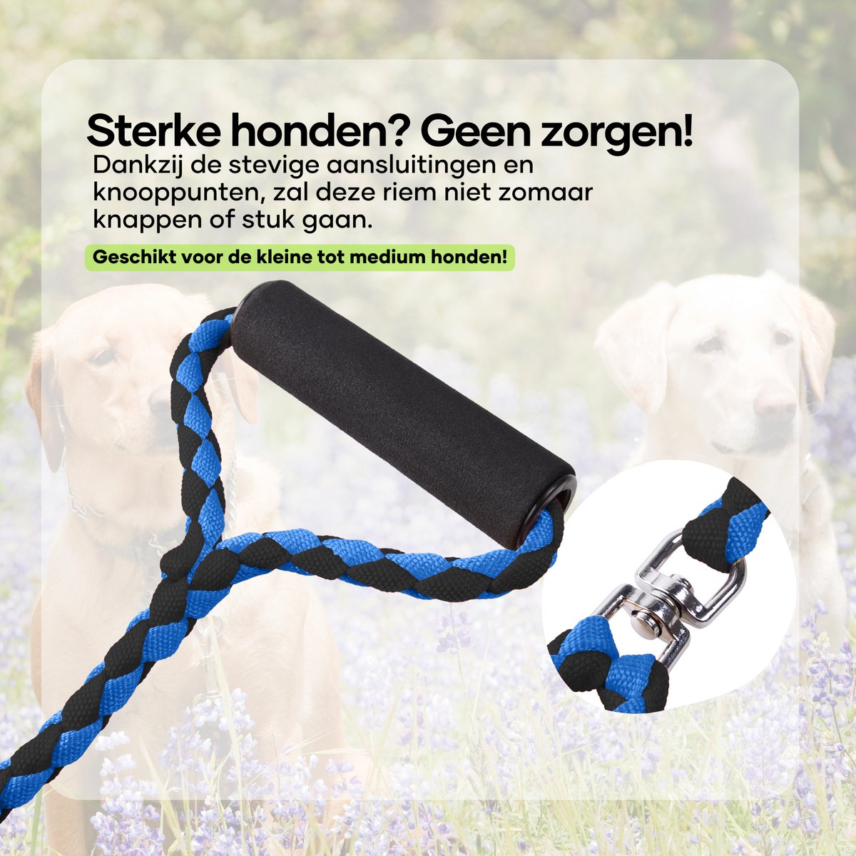 Ejoyous Dubbele intrekbare hondenriem, 3 m, flexibele intrekbare