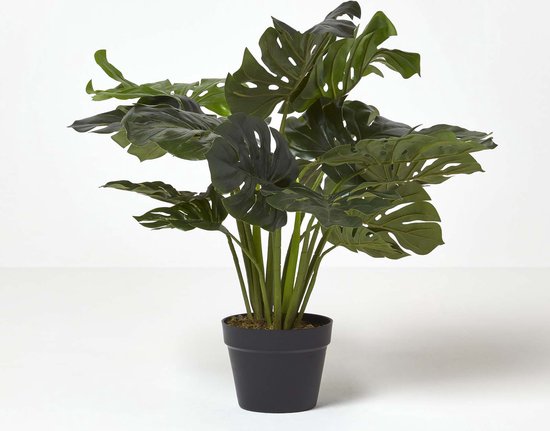Homescapes Plante artificielle Monstera en pot, 60 cm