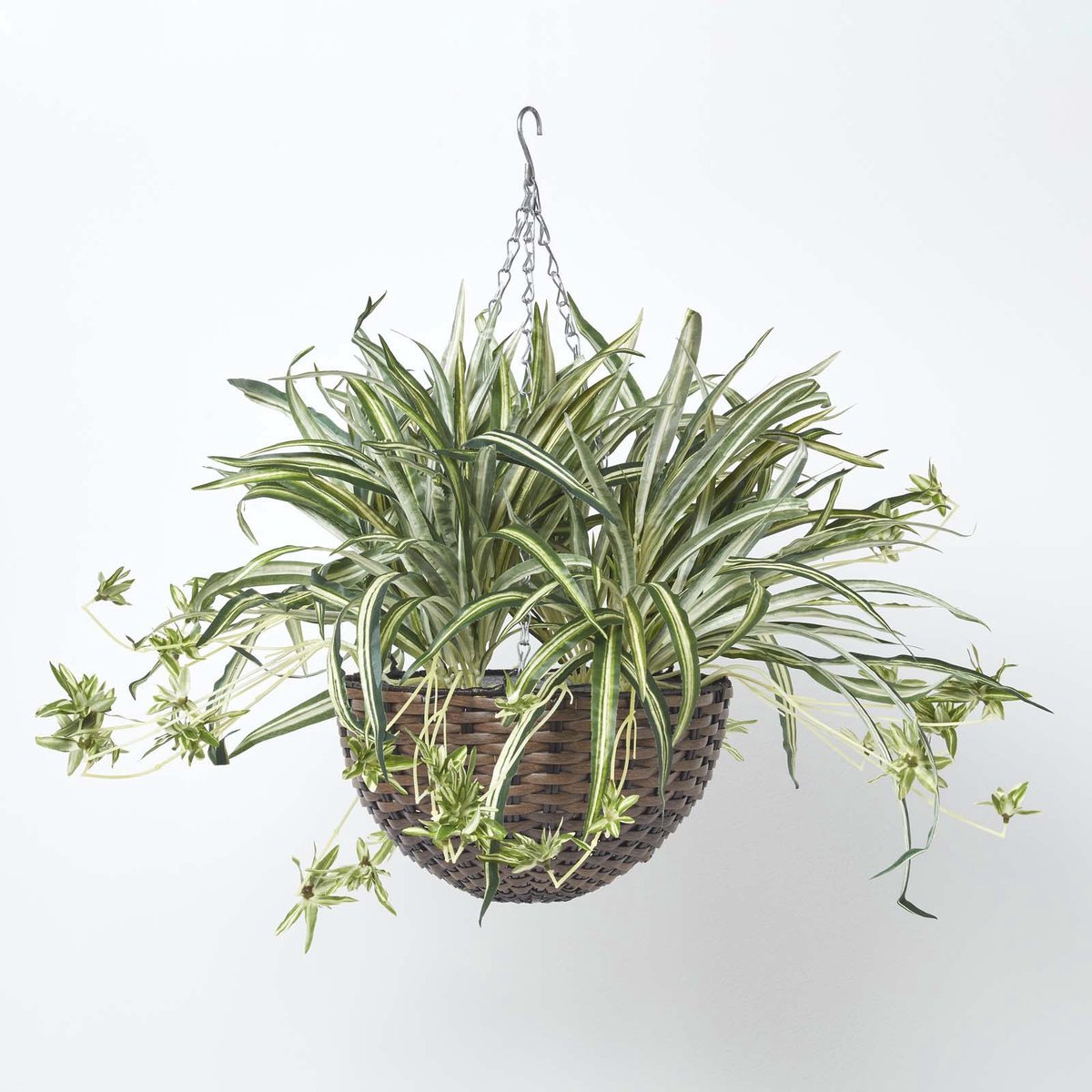 Homescapes Kunstmatige hangende koraalcactus 60 cm hoog Groen-Wit