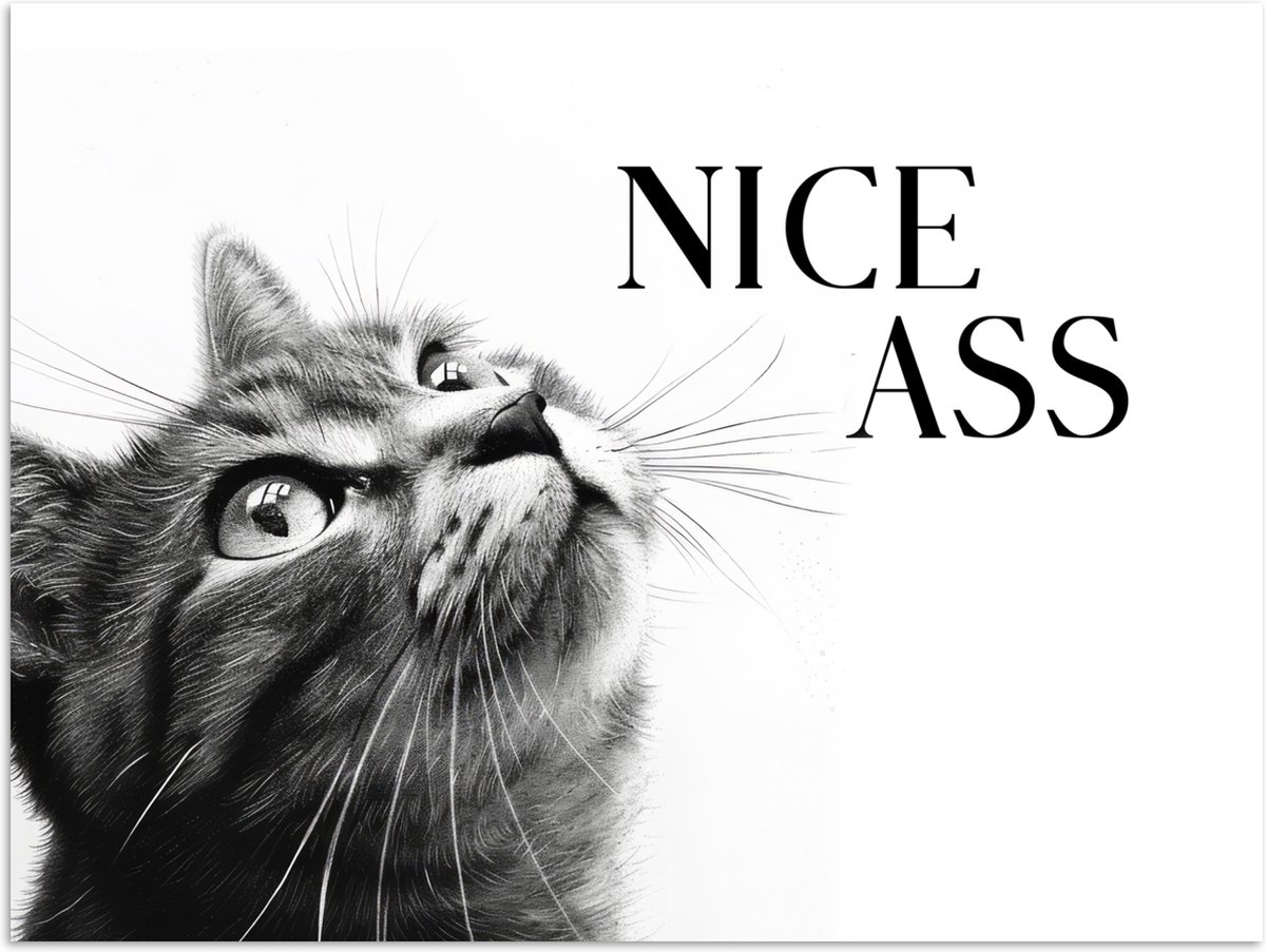 Poster 120x90 cm - Katten - Nice ass - Quote - Zwart wit - Spreuken - Posters - Wanddecora
