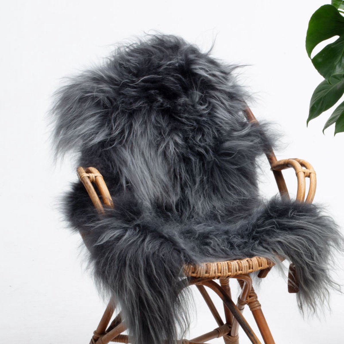 SHEEPY® | Schapenvacht | Dagmar (Donker Grijs) S (90-100cm) - Sheepy.cc