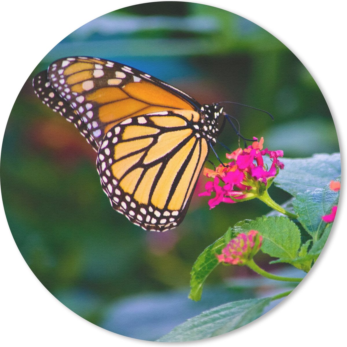 Muismat rond 30x30 cm - Mousepad Vlinders - Bloem - Natuur - Ronde muismatten