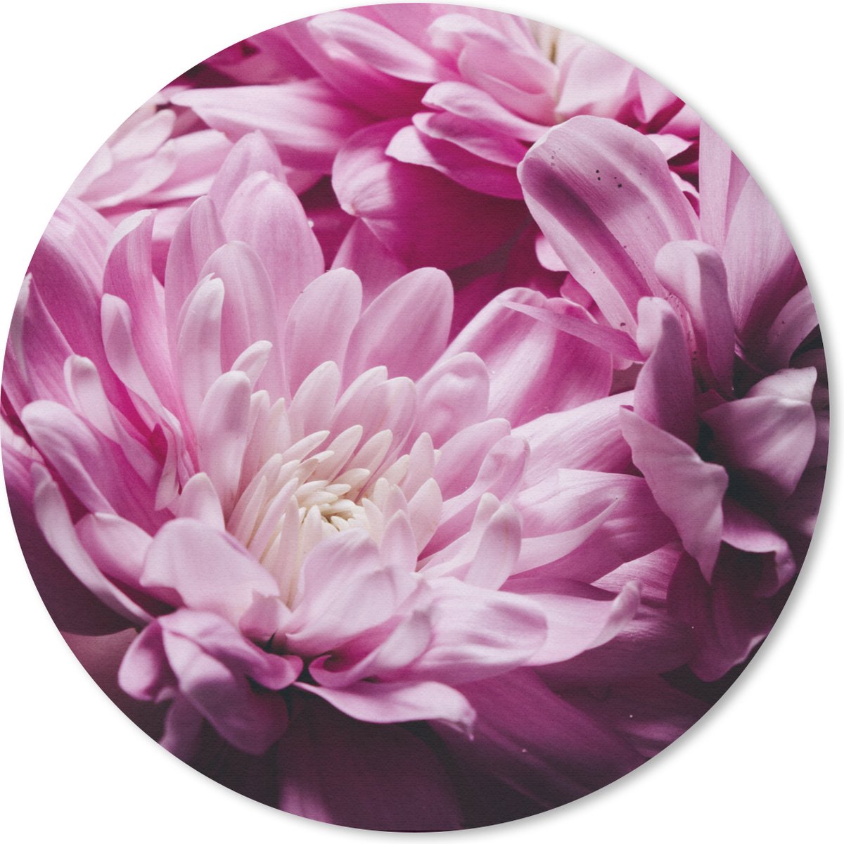 Muismat rond 20x20 cm - Mousepad Bloemen - Roze - Natuur - Ronde muismatten
