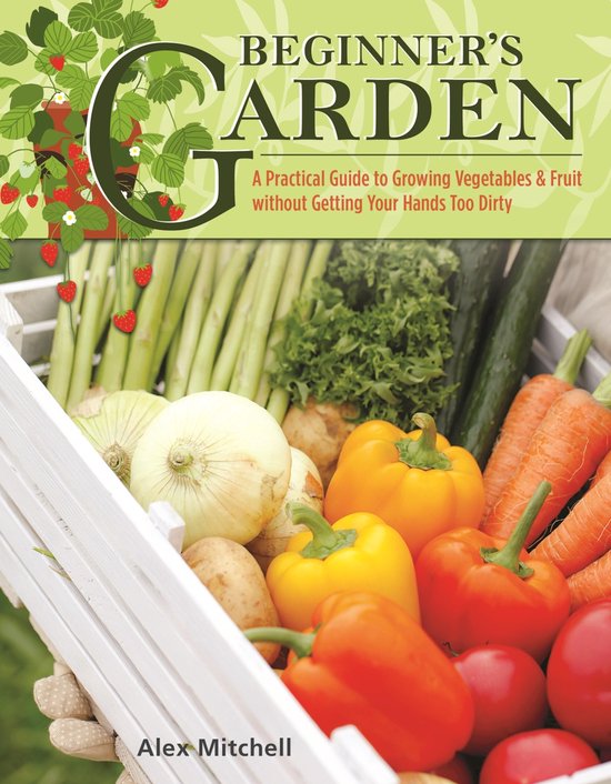 Beginner's Garden - cover