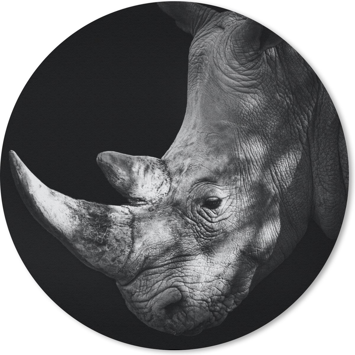 Muismat rond 50x50 cm - Mousepad Neushoorn - Dier - Licht - Ronde muismatten