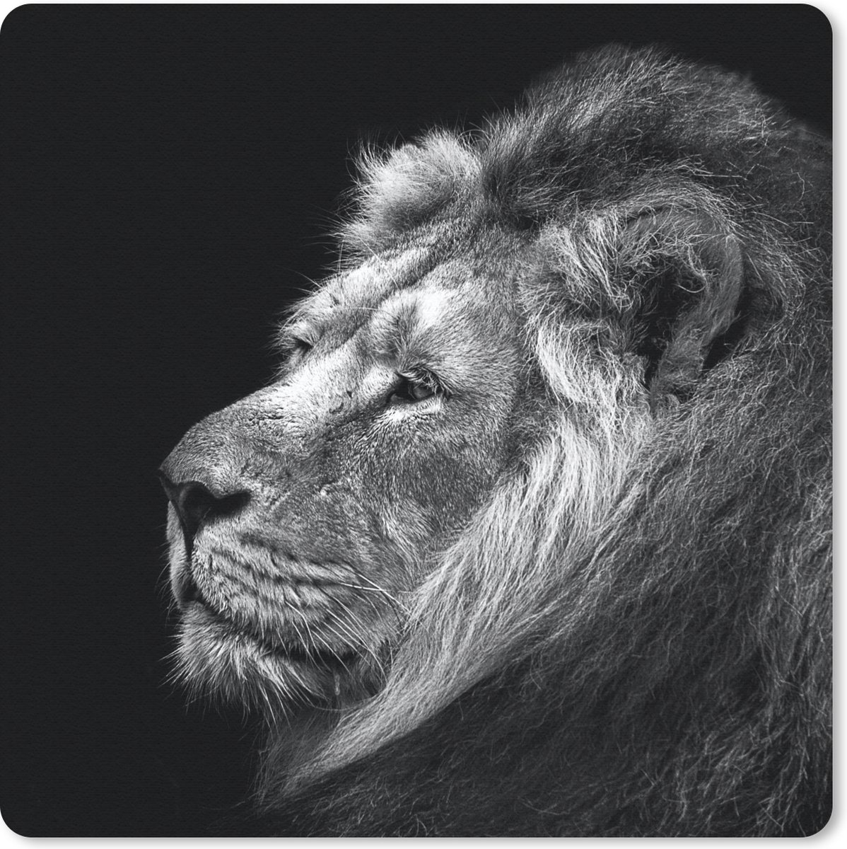 Muismat 30x30 cm - Mousepad Leeuw tegen zwarte achtergrond in zwart-wit - Muismatten