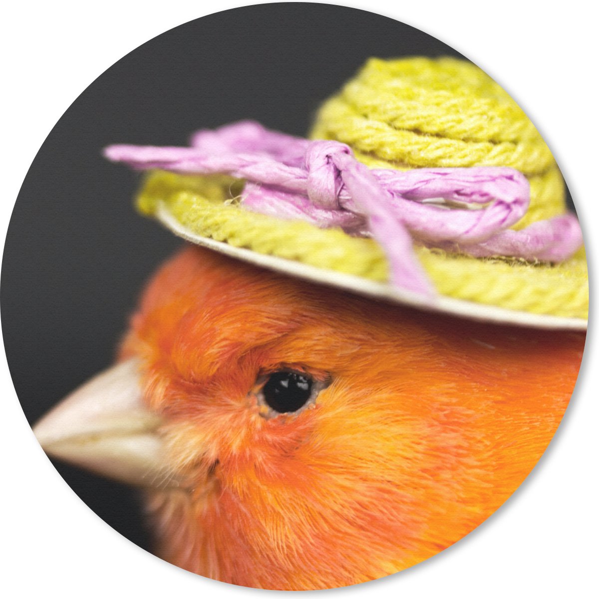 Muismat rond 30x30 cm - Mousepad Vogel - Hoed - Oranje - Ronde muismatten