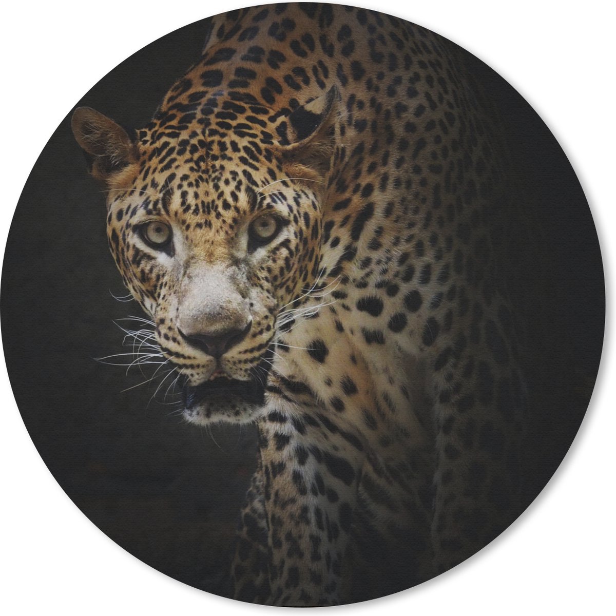 Muismat rond 30x30 cm - Mousepad Luipaard - Wilde dieren - Licht - Ronde muismatten
