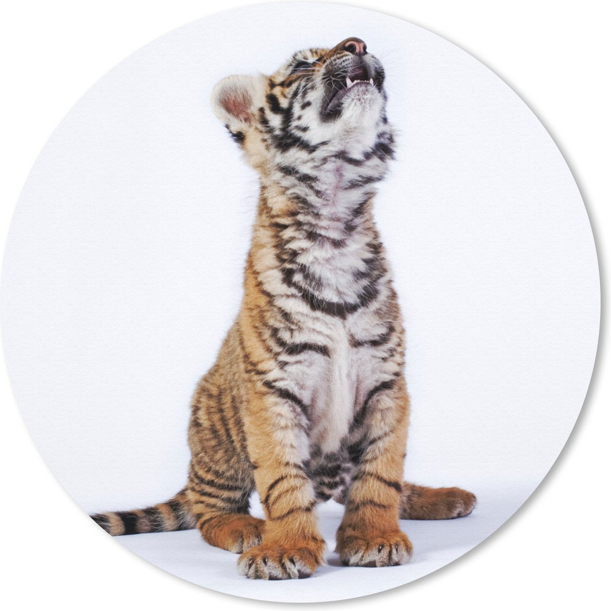Muismat rond 40x40 cm - Mousepad Tijger - Welp - Wit - Ronde muismatten