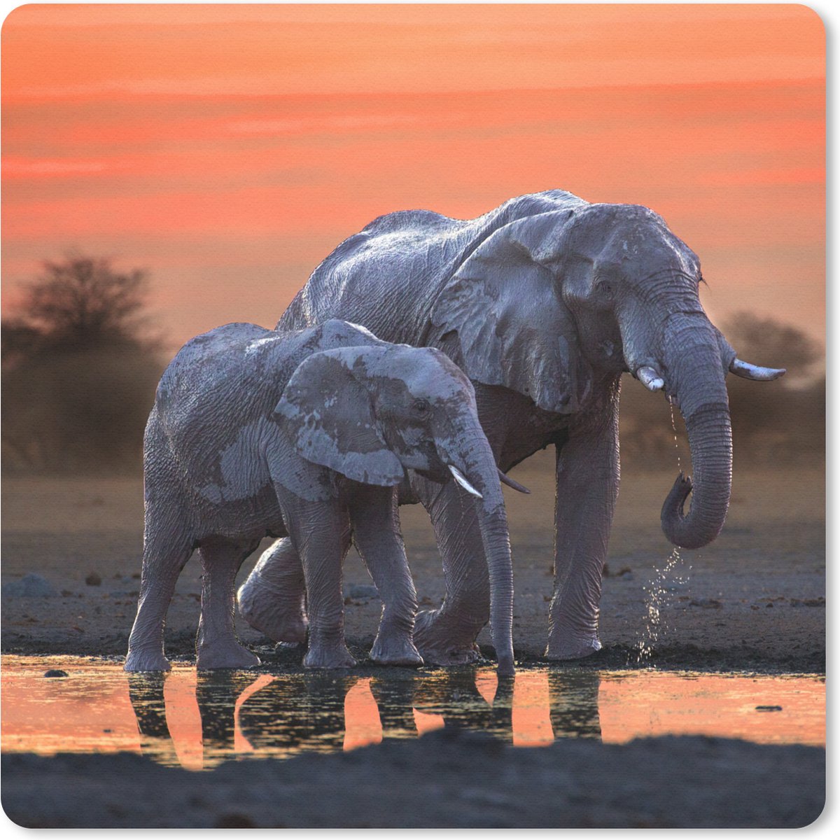 Muismat 30x30 cm - Mousepad Olifant - Dieren - Zonsondergang - Water - Oranje - Muismatten
