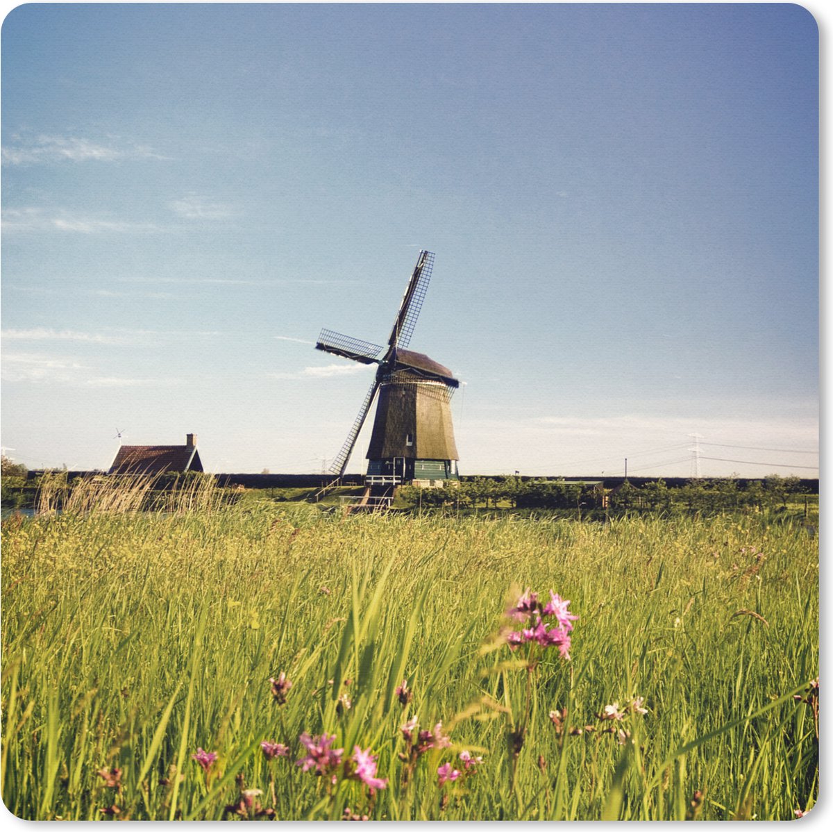 Muismat 30x30 cm - Mousepad Een molen met bloemen - Muismatten