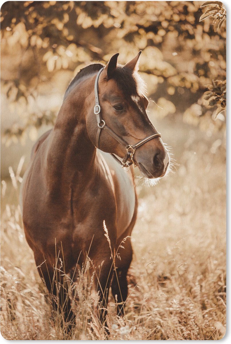 Muismat 18x27 cm - Mousepad Paard - Zon - Portret - Natuur - Bruin - Muismatten