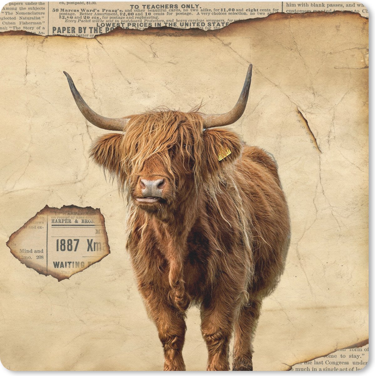 Muismat 30x30 cm - Mousepad Schotse hooglander - Vintage - Koe - Muismatten