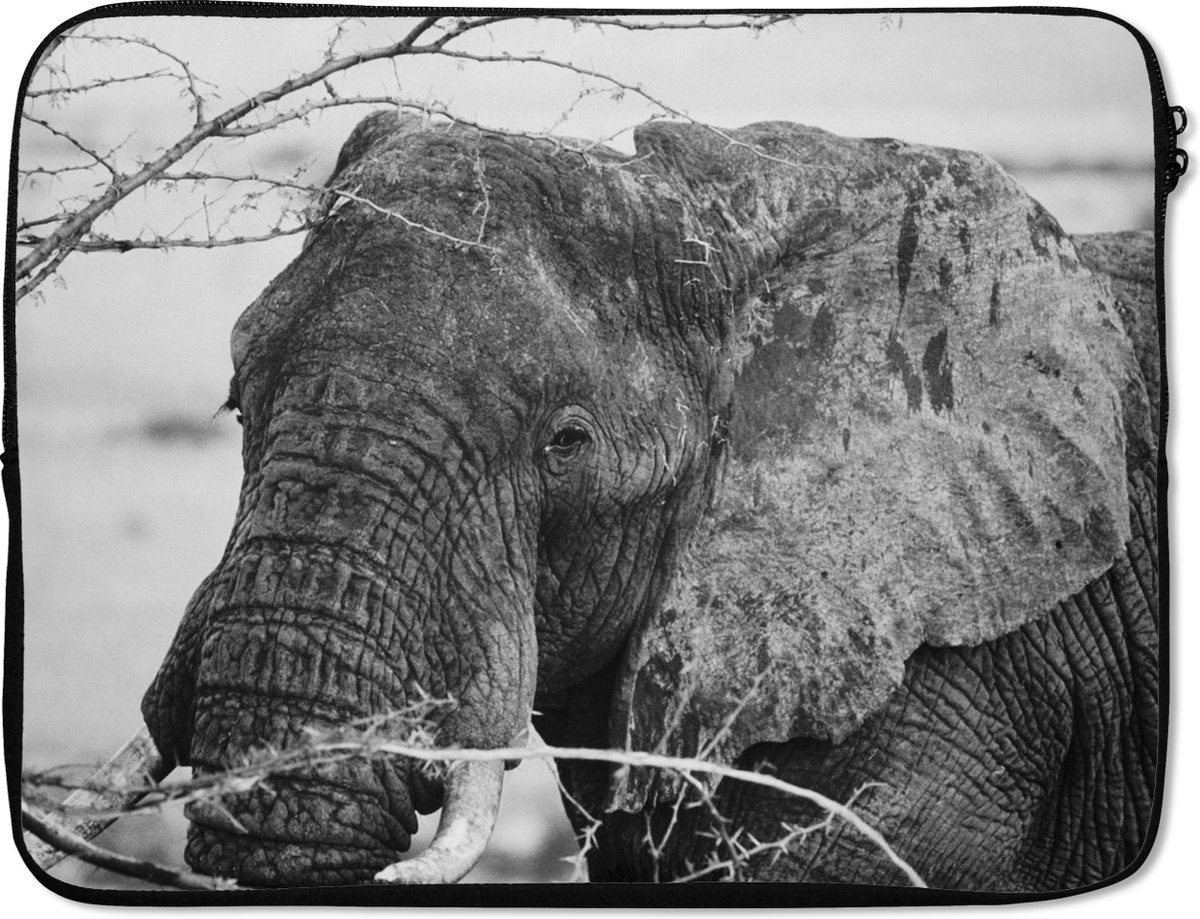 Laptophoes 15.6 inch - Olifant - Dieren - Takken - Natuur - Zwart wit - Laptop sleeve - Binnenmaat 37x26 cm - Zwarte achterkant