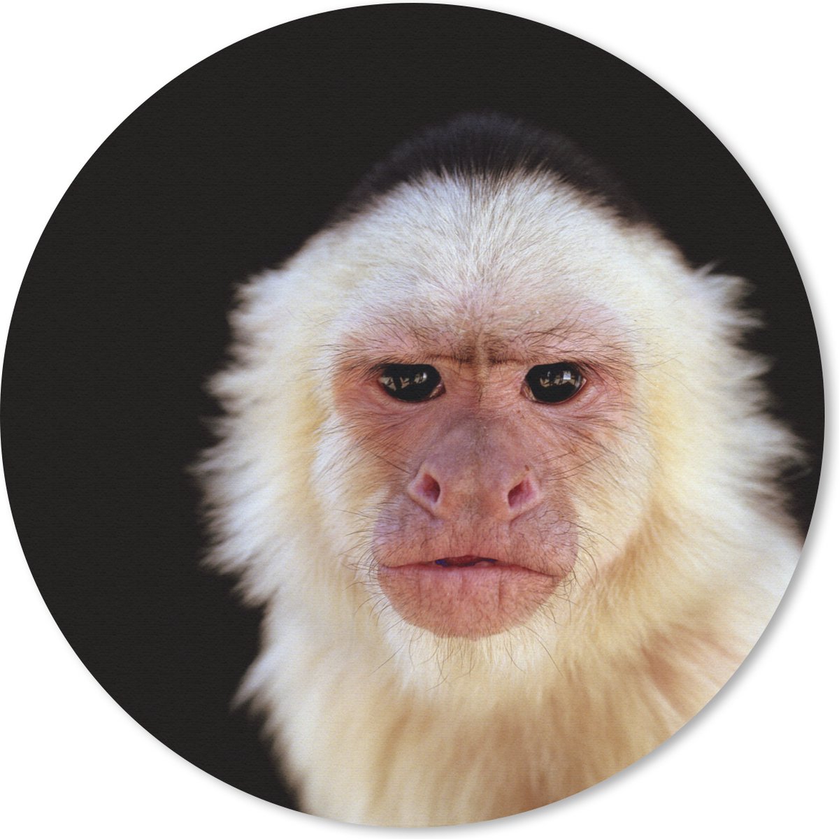 Muismat rond 40x40 cm - Mousepad Aap - Vacht - Zwart - Ronde muismatten