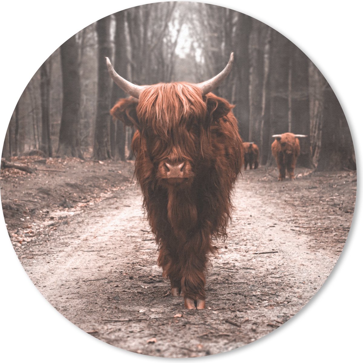 Muismat rond 50x50 cm - Mousepad Schotse hooglander - Dieren - Bomen - Ronde muismatten